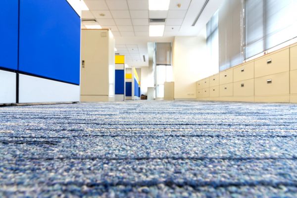 Business Carpet Cleaning in Parker