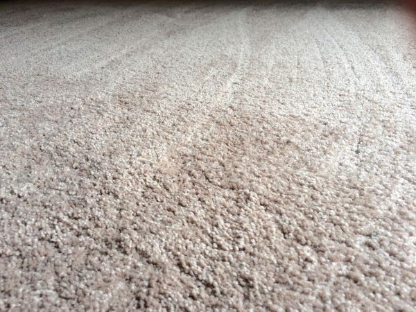 Plush Carpet Installation in Parker